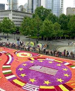 911day - Shortcut Zen of Mastery - Photo Twelve